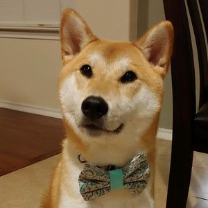 Meet your Posher, Chau